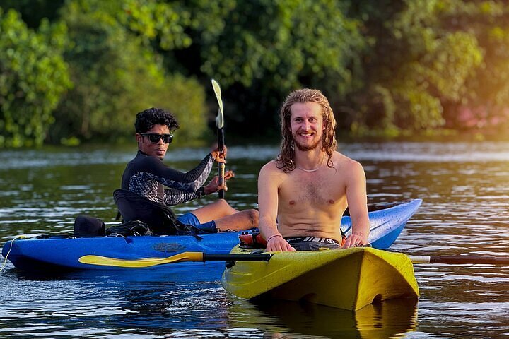 paddle boards